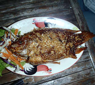 Red snap.- bei Kingbusch - ca. 6€