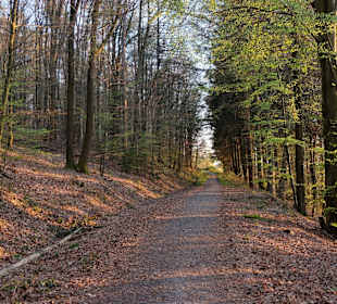 Wandern Hirschhorn