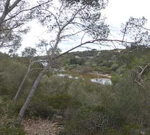 Naturpark Mondragon Fussweg