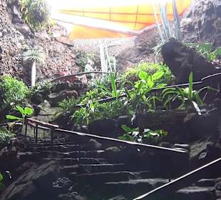 Jameos del Agua
