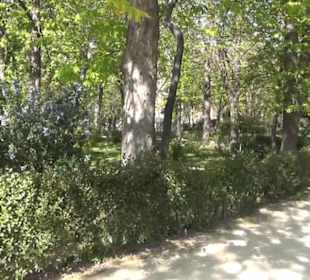 Retiro-Park