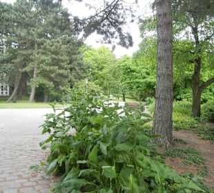 Parkanlage Planten un Blomen