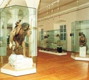 Naturkundemuseum von innen