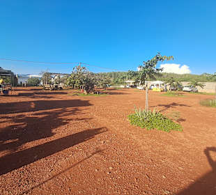 Asociación Mercat De Forada bei Santa Gertrudis 