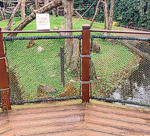 Singapur Zoo