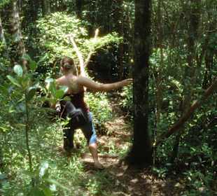 Black River Nationalpark