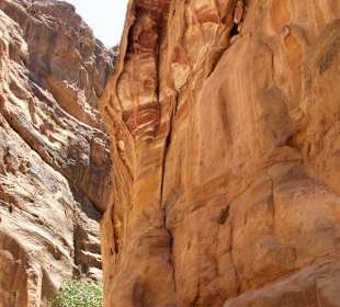 Spacer po Mieście Wykutym w Skale - Petra