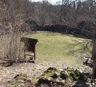 Burgruine Hohenstein