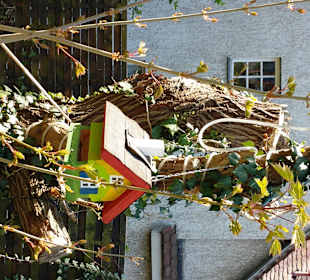 Bunte Vogelhäuser
