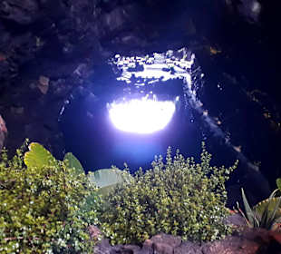 Jameos del Agua Cesar Manrique