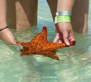 Saona Crusoe VIP Tour