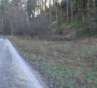 Wanderung rund um den Ochsenweiher