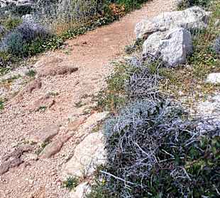 Nationalpark Kap Greco