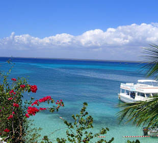 Karibisches Meer - Isla Catalina -