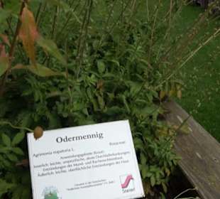 Andechser Kräutergarten