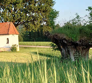 Wandern Bad Endorf