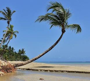 Strand Richtung El Limon