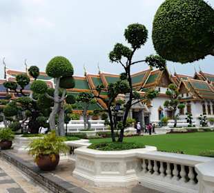 Piekne bonsai na terenie Grand Palace