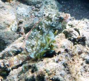 Was man nicht alles sieht