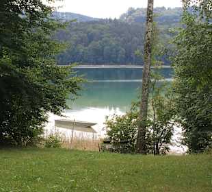 Mattsee