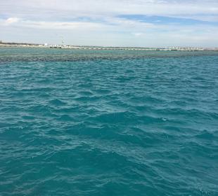 Delfin Tour Hurghada