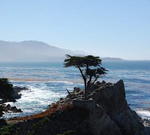 17 Miles Drive im Oktober