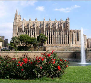 La Seu
