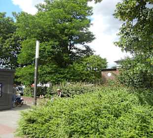 Parkanlage Planten un Blomen