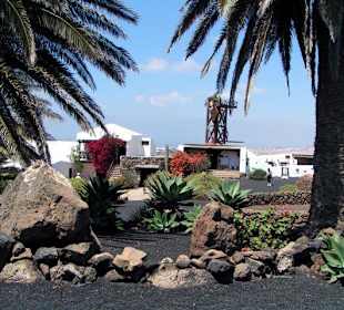 Lanzarote - Jardín de Cactus