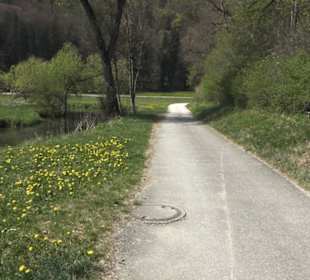 Waldlehrpfad an der Lauter