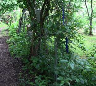 Mezger's Bürgle Park