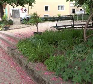 Stadtrundgang Dornstetten