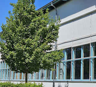 Seitenansicht Schwimmhalle