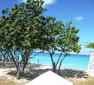 Eindrücke während der Fahrt