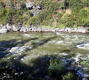 Zugfahrt durch das Heilige Teil