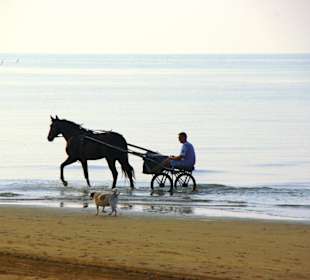 Strand in Bibione Juni 2012