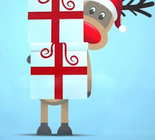 Artico Christmas House