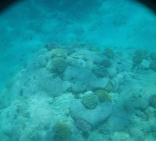 Im Wasser vorm Palace