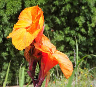 Impressionen aus dem Jardin des Plantes