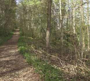 Wanderweg Hochgehswiggert
