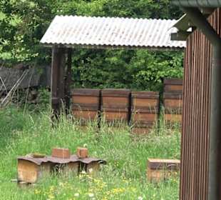 Naturinfopfad Weggental