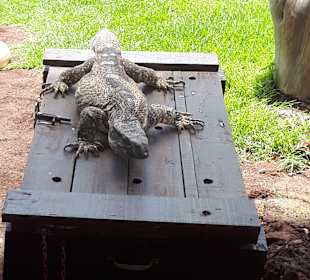 Eine kleine Auswahl was man alles entdecken kann.