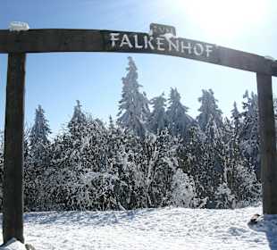Eingang zum Falkenhof