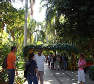 Die Reiseführer haben genug zu tun