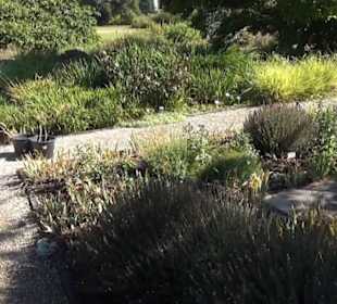 Botanischer Garten