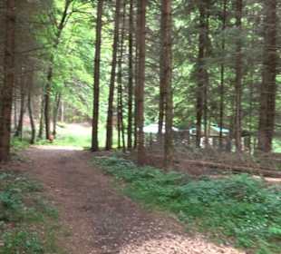 Doline Weidenwang