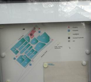 Friedhof Neckarhausen