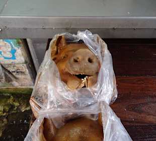 Auf dem Markt von Mahachai