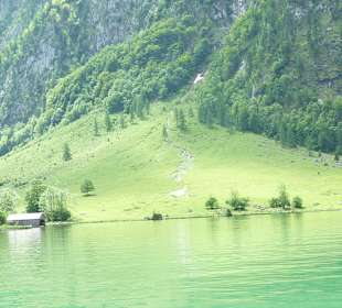 Obersee