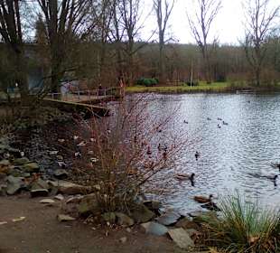 Volkspark Schwanenweiher in Kaiserslautern